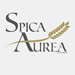 Spica Aurea