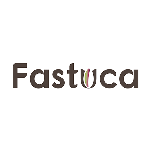 Fastuca