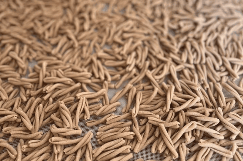 Pasta Bio (Casarecce) – Bild 2