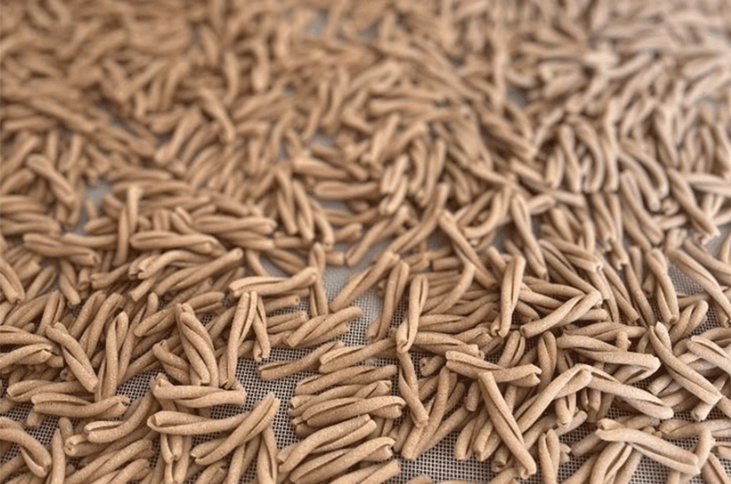 Pasta Bio (Casarecce) – Bild 2